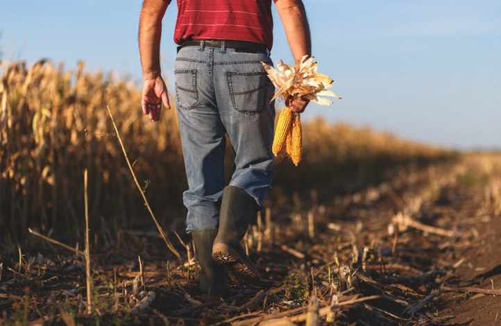 Read more about the article Retired Farmer Writes An Open Letter to American Agriculture